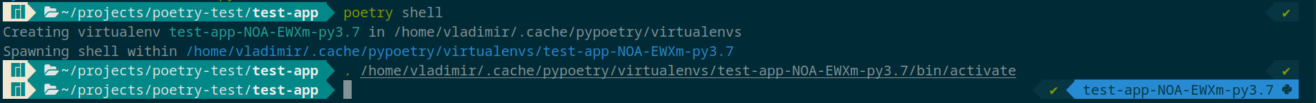 poetry-shell-terminal
